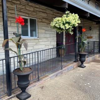 Two large planters with red flowers and hanging greenery stand outside a building with a stone wall facade.