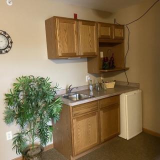 A small kitchen area with wooden cabinets, a sink, a mini fridge, and a decorative plant.