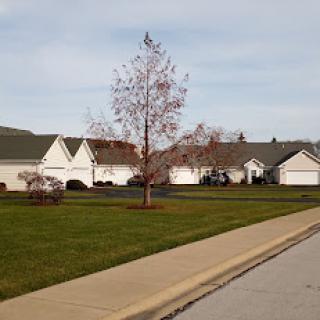 A peaceful suburban neighborhood featuring single-family homes and a barren tree.