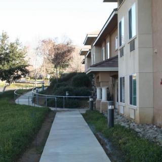 A sidewalk leads to a building surrounded by trees and grass.