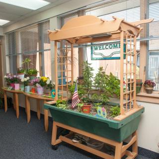An indoor gardening setup with a variety of plants in a wooden planter near a window, receiving ample sunlight.