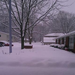A snowy winter scene capturing the tranquility of a suburban neighborhood blanketed in white.