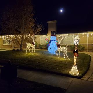 A festive yard adorned with Christmas lights, featuring illuminated reindeer and a bright blue snowman under the night sky.