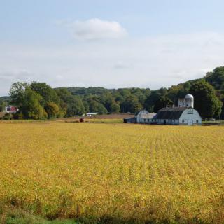 A peaceful rural landscape featuring a barn and a golden field under a clear sky.
