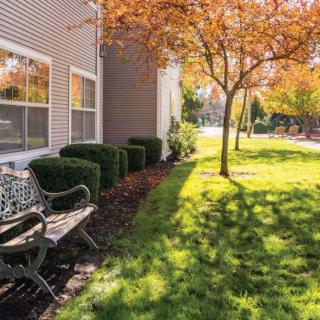 A peaceful autumn scene with a bench under trees and dappled sunlight casting shadows on the grass.