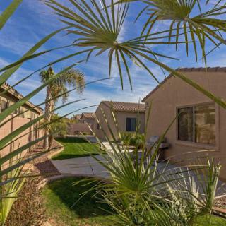 A view of homes surrounded by greenery and palm trees under a bright blue sky.