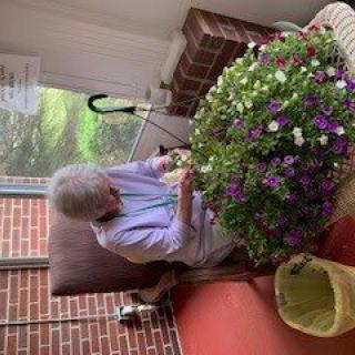 An elderly person tends to a lush flowering plant indoors, showcasing a peaceful gardening activity.