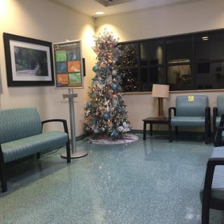 A cozy waiting area decorated for the holidays, featuring a Christmas tree and comfortable seating.
