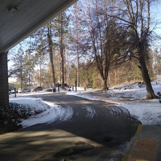 A serene winter scene with a snow-covered pathway surrounded by trees.