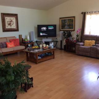 A cozy living room with a sofa, television, coffee table, and indoor plants on wood flooring.