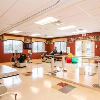 A spacious and well-lit gym with various exercise equipment and therapy balls, ideal for rehabilitation and fitness activities.