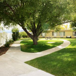 A serene garden with winding pathways and lush greenery.