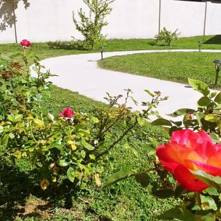 A vibrant garden with blooming roses lining a curved pathway.