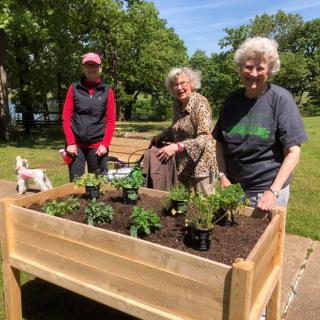 A group of people gardening together in a community space with a raised bed.