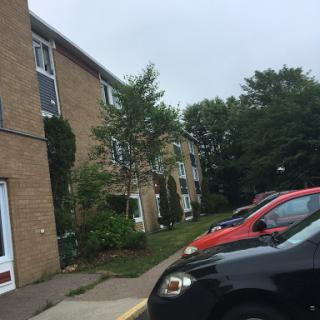 A view of an apartment building with parked cars and greenery in the surroundings.