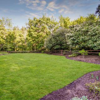 A well-maintained lawn bordered by trees and shrubs, with a wooden fence in the background.