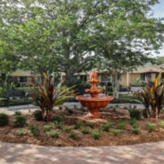 A serene garden with a central fountain surrounded by lush greenery.