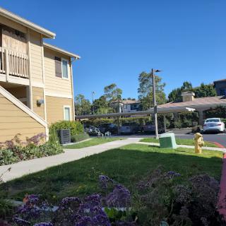 A sunny day at a residential apartment complex, featuring well-maintained landscaping and parked cars.