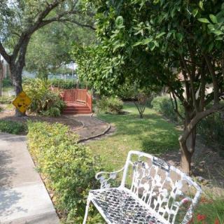 A tranquil garden scene with a bench, lush greenery, and a pathway.