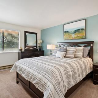 A cozy bedroom with a neatly made bed, a dresser, and a painting above the headboard.