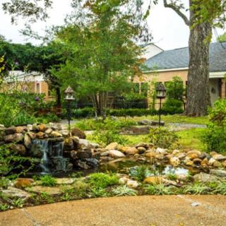 A serene garden with a small pond and lush greenery in front of a house.