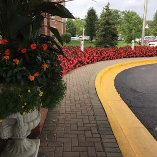 A beautifully landscaped area featuring vibrant flowers along a curved pathway.