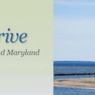 A scenic view of the Chesapeake Bay in Maryland.