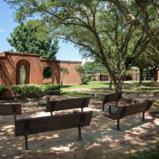 A peaceful park scene with benches under the trees, surrounded by greenery and a brick structure.