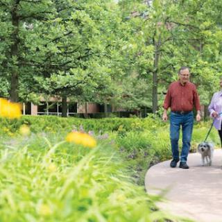 A couple enjoying a leisurely walk with their dog in a lush green park.