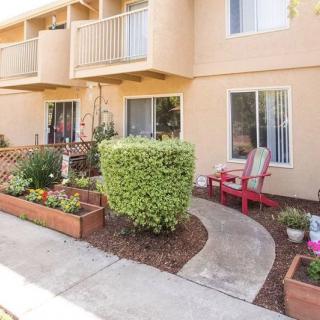 A cozy apartment with a small garden and outdoor seating area.