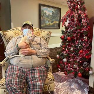 A cozy moment during the holiday season, featuring a person in a comfortable chair holding a fluffy cat beside a beautifully decorated Christmas tree.
