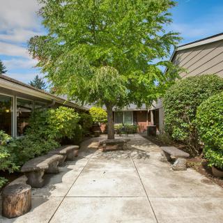 A serene courtyard with a central tree, surrounded by benches and lush greenery under a clear sky.