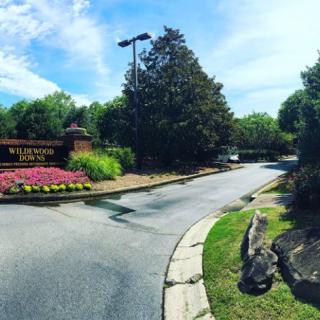 A scenic entrance with a landscaped driveway and vibrant flower beds.