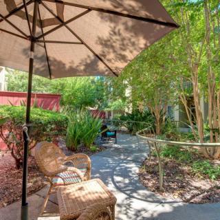 A serene garden setting with outdoor seating and a large umbrella, surrounded by lush greenery.
