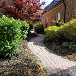 A winding brick pathway surrounded by lush greenery and a vibrant red tree.