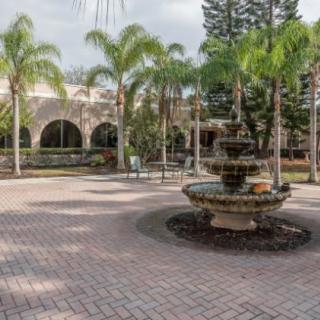 Cherry Oak Palm Beach County