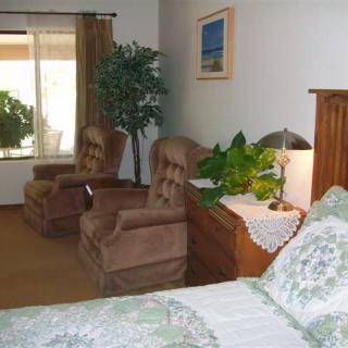 A cozy bedroom with plush chairs, a bed, and an indoor plant near the window.