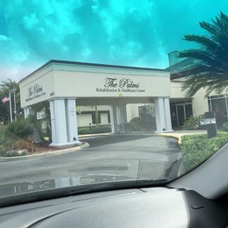 Entrance of a building with signage and surrounding palm trees viewed from a car.