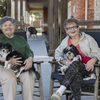 Two people sitting on a porch with their dogs, enjoying a relaxed outdoor setting.