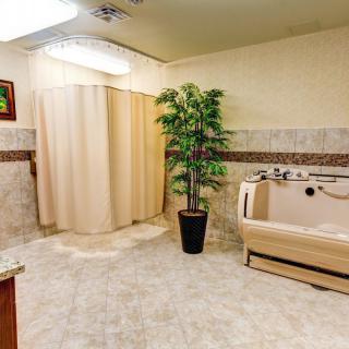 A well-designed bathroom featuring a bathtub, shower curtain, and decorative plant.