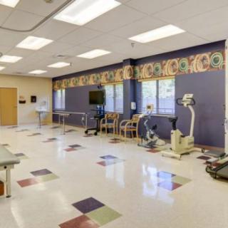 A spacious therapy room equipped with various exercise machines and vibrant wall decor.