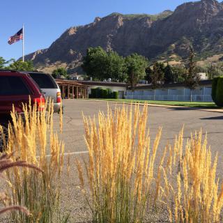 A parking lot with tall grasses in the foreground, mountains in the background, and a flag waving nearby.