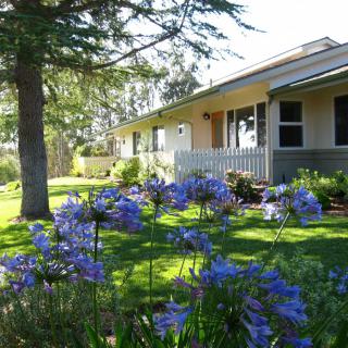 A charming house with a landscaped garden featuring vibrant purple flowers.