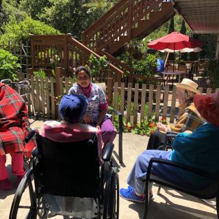 A group of elderly individuals enjoying a sunny day outdoors, seated in a garden area.