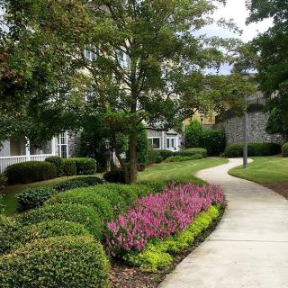 A beautifully landscaped garden path surrounded by trees and colorful plants.