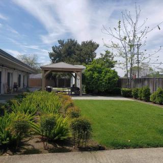 A peaceful garden with a gazebo, surrounded by lush greenery and a well-maintained lawn.