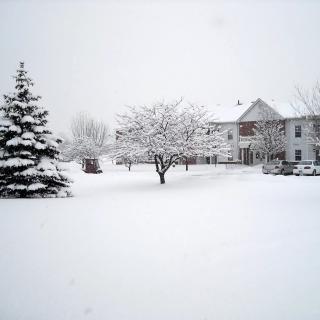 A serene winter landscape with a house surrounded by snow-covered trees.