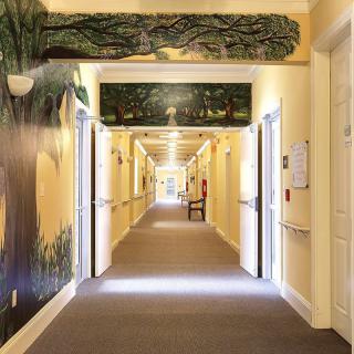 A brightly lit hallway adorned with nature-themed murals on the walls.