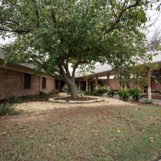A serene courtyard with a large tree surrounded by brick buildings.