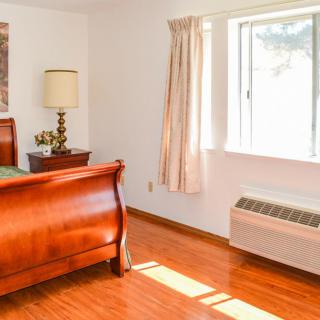 A bright bedroom with hardwood floors, featuring a wooden bed, a lamp on the bedside table, and sunlight streaming through a window with curtains.